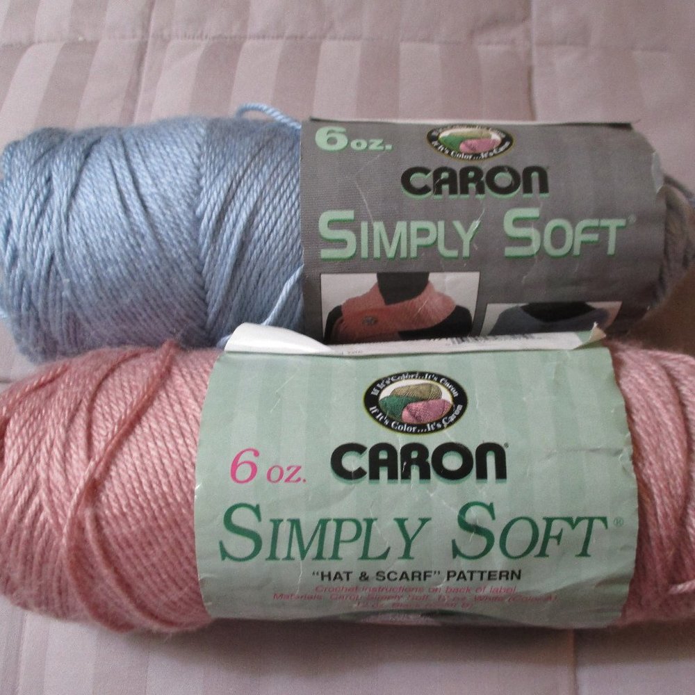 Lot of Two Caron Simply Soft Yarn Skeins Blue & Rose NEW
